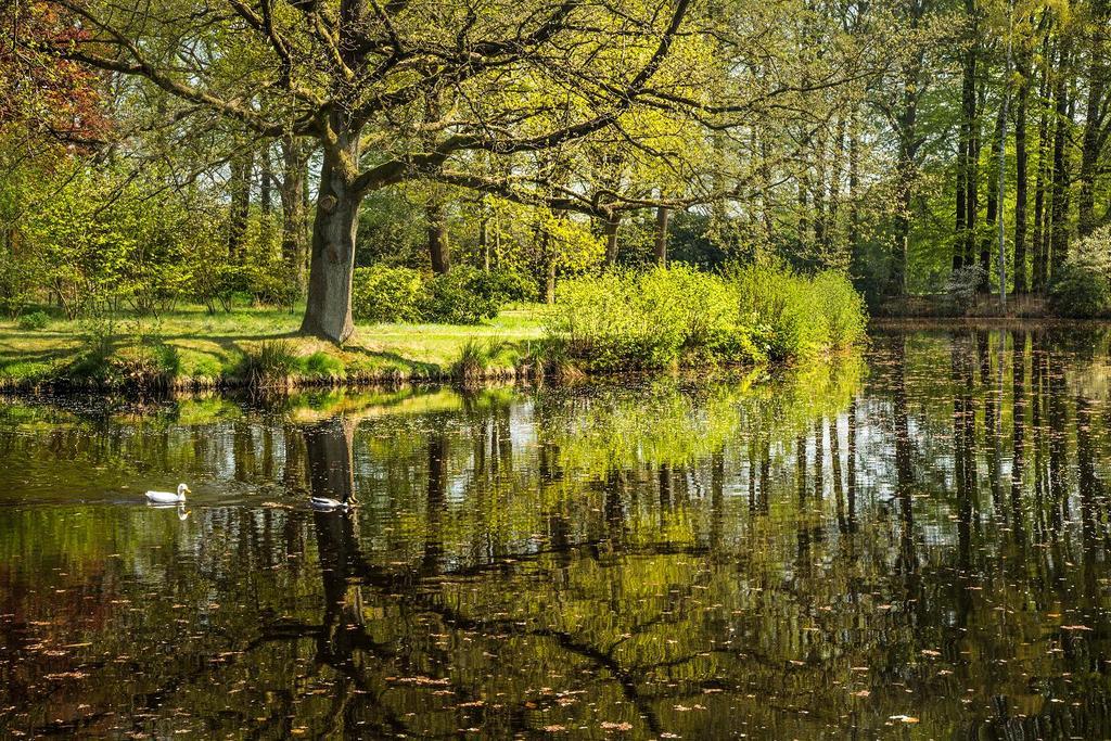 Hotel Kasteel De Essenburgh Hierden Luaran gambar